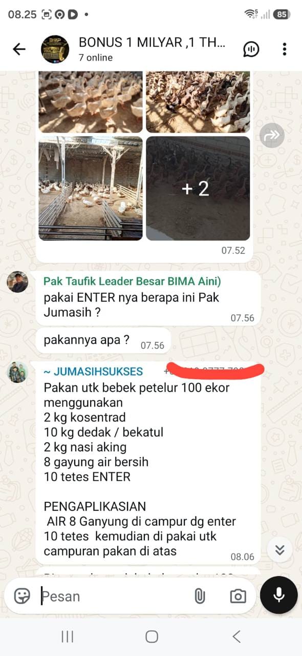 Testimoni chat pengguna ENTER 1